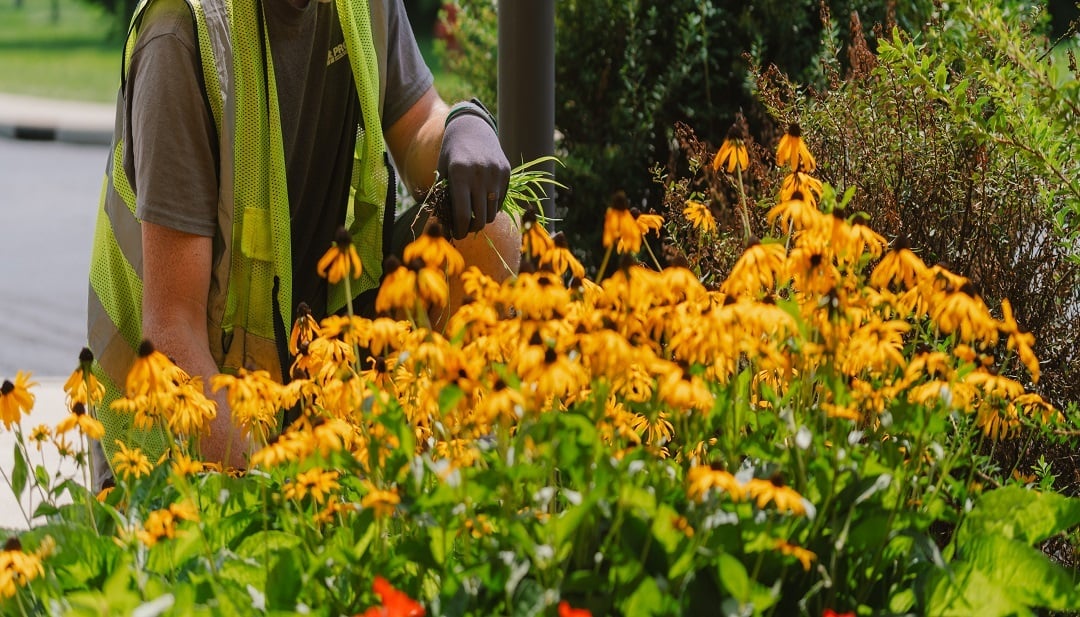 Chad in flowers2-RESIZED Chad in flowers2-RESIZED