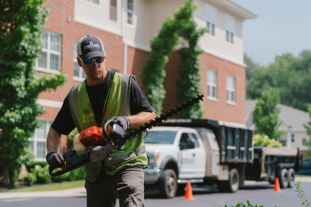 Proscapes Owner ProScape Hybrid Approach