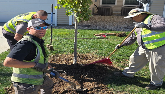 doug planting tree-resized