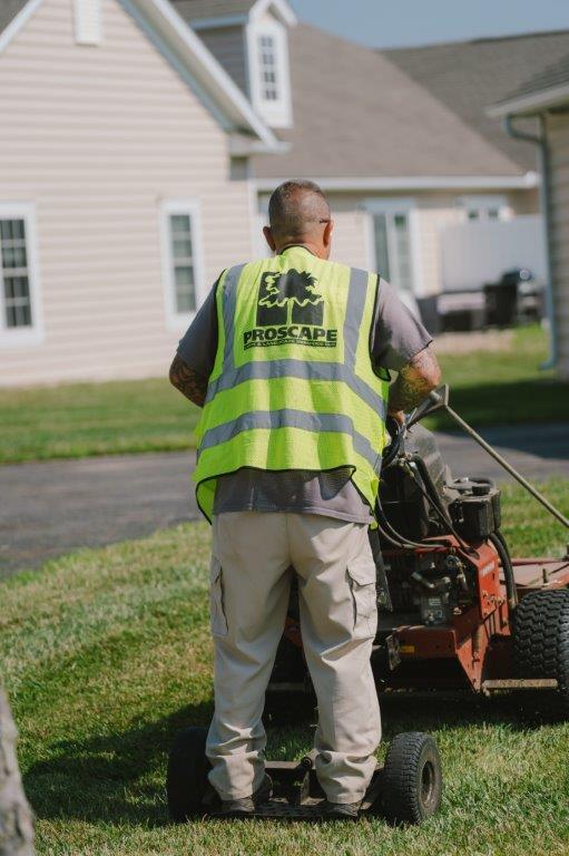mowing mowing