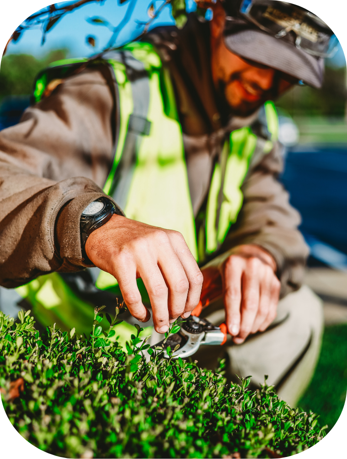 Untitled design (14)